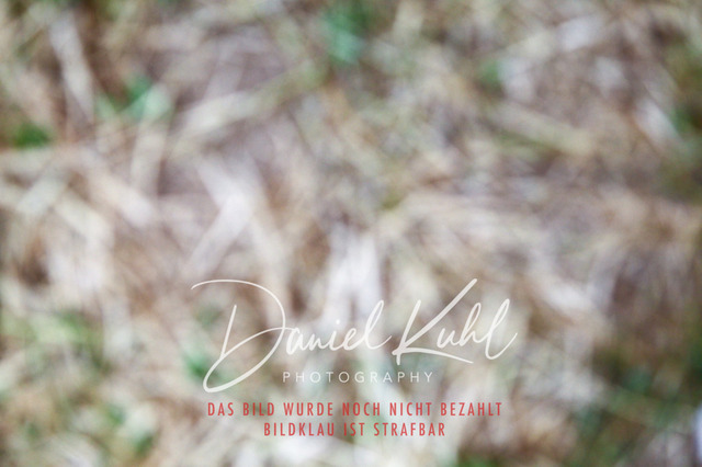 DKP47301 | Turniersportfotografie; Pferdefotografie; Dressurfotografie