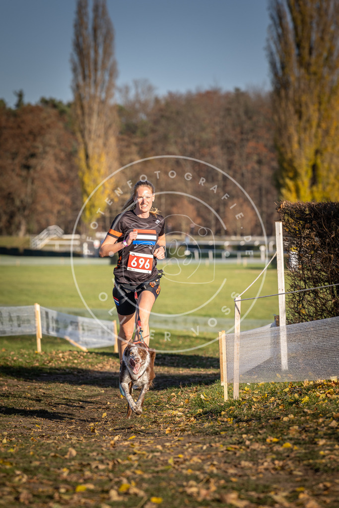 CaniXpix_DV3A1404 | Hundefotografie, Tierfotograf, Pfotenfotografie, Fotoshooting Hund, Hunde Portrait, Hundesport, Hundeportraits, Heideshooting, Hunde, Sportfotograf, Hundefotograf, Turnierhundsport, THS,  - Realisiert mit Pictrs.com