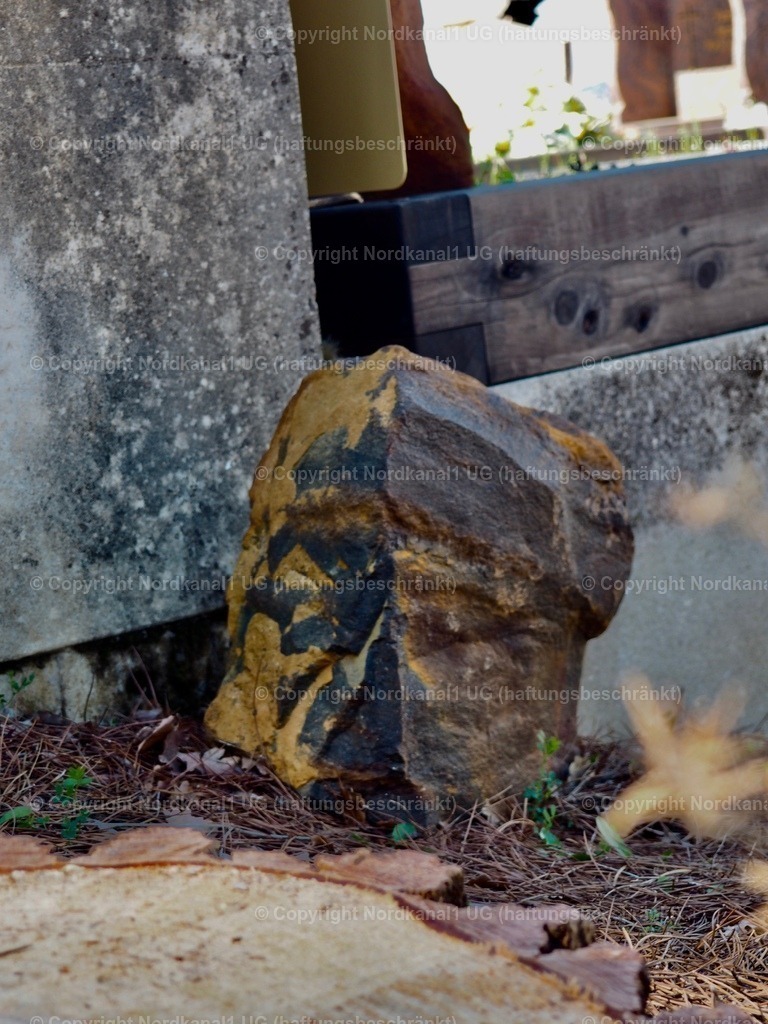 IMG_2869 | OLYMPUS DIGITAL CAMERA          - Realisiert mit Pictrs.com