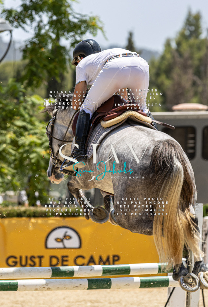 IMG_7449 | s-jay-photography - Realisiert mit Pictrs.com