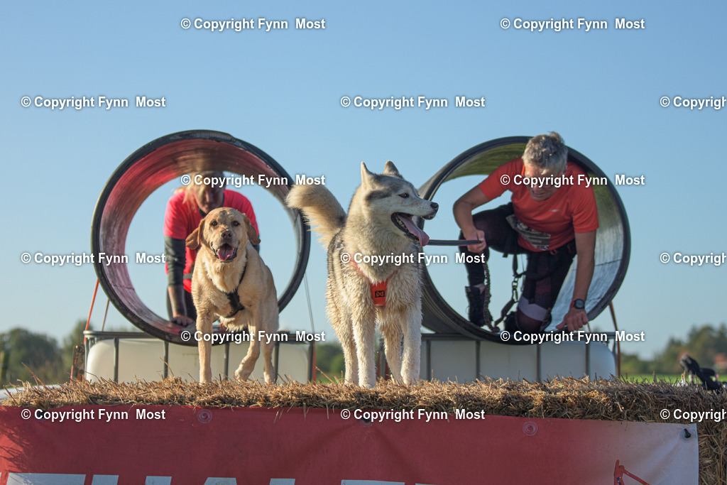 DSC_0321 | Hallo und herzlich Willkommen auf meiner Shop-Seite Fynn Most.

Ich wünsche Dir viel Spaß beim stöbern durch die Bilder, wenn Du Fragen hast oder Bilder vermisst, kannst du mir gerne eine Nachricht schreiben. - Realisiert mit Pictrs.com