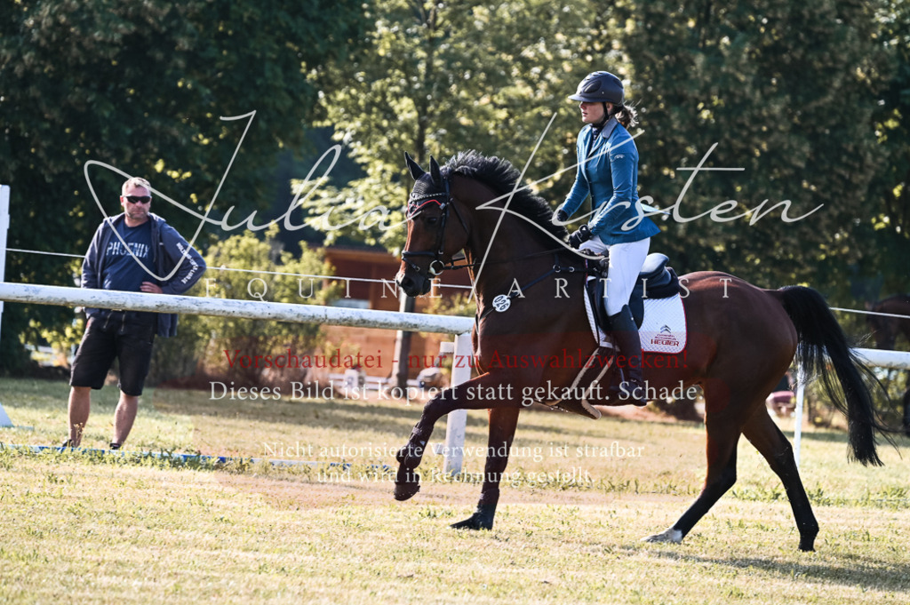 DSC_7562 | Pferde- und Turnierfotografie in Westsachsen. Pferdeportraits, Auftragszeichnungen und intuitive Kunst.