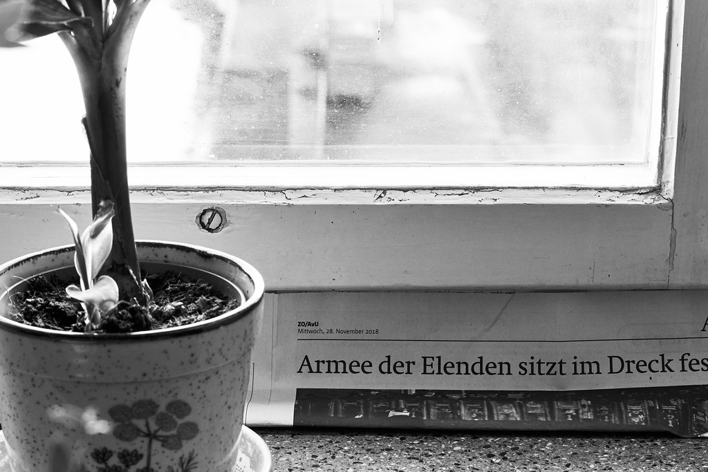 Das alte Atelierhaus 4 | Ich erzähle Geschichten als Autor und als Fotograf. Hier finden Sie hochwertige Naturfotografie, Reisefotografien und Bilder aus dem urbanen Lebensraum.  - Realisiert mit Pictrs.com