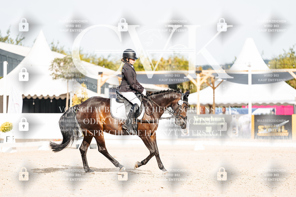CK904535 | Turnierfotografie Pferdefotografie Trier Rheinland-Pfalz Pferdesport Reitsport Tierfotografie Sportfotografie Pferdevideo Pferdevideografie Equestrianvideography equestrianphotography  - Realisiert mit Pictrs.com