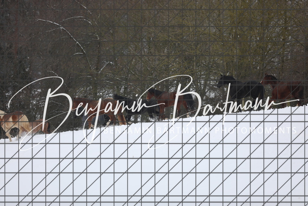 AZ2A3291 | Benjamin Bartmann Photomoments