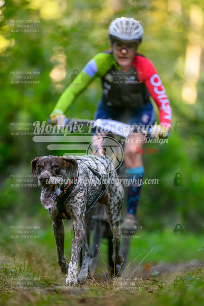 MompixPhotography_Yens2025_B3-26 | PayLife
