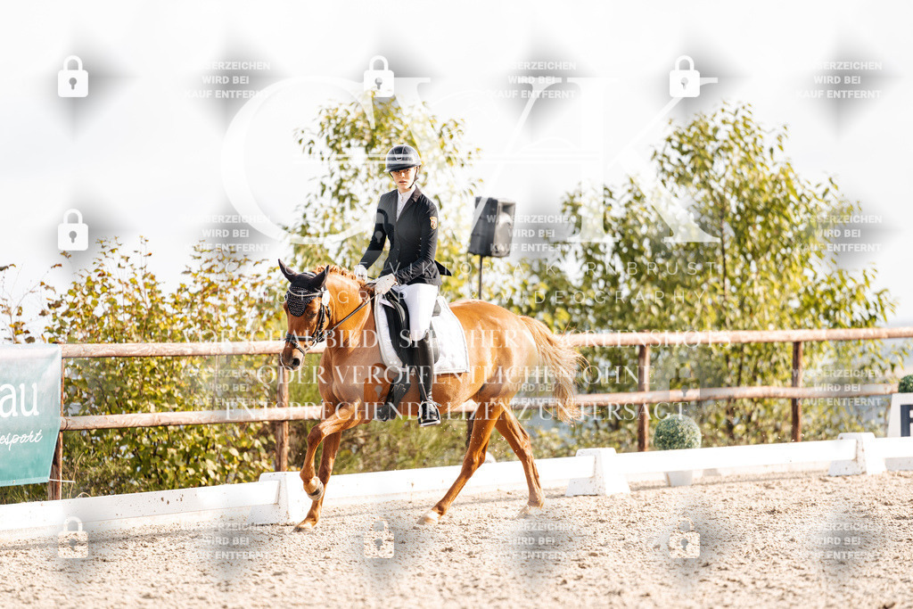 CK901109 | Turnierfotografie Pferdefotografie Trier Rheinland-Pfalz Pferdesport Reitsport Tierfotografie Sportfotografie Pferdevideo Pferdevideografie Equestrianvideography equestrianphotography  - Realisiert mit Pictrs.com