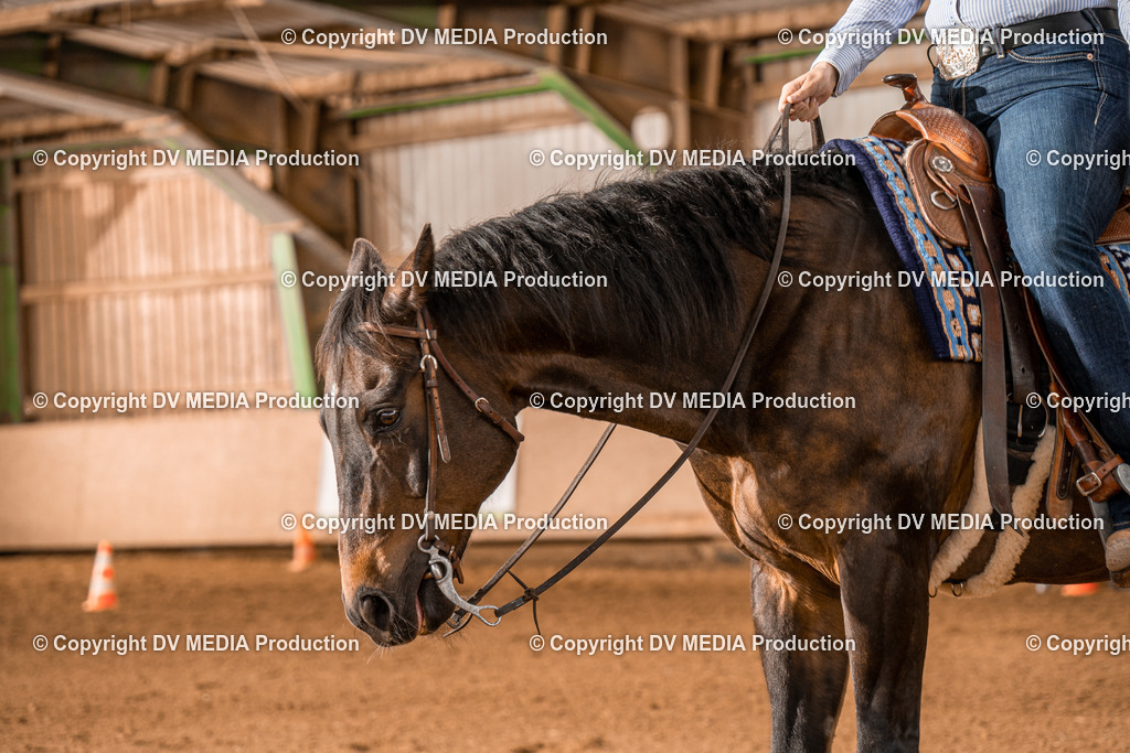 BAL00623 | dv-media-shop - Realisiert mit Pictrs.com