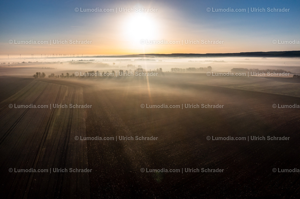 10049-51522 - Felder am Huy | Stockfoto und Bilderpool mit Bildmaterial aus Deutschland, dem Harz, Halberstadt, Quedlinburg, Wernigerode und weltweit. Qualitativ hochwertige und professionelle Fotos anschauen und kaufen. - Realisiert mit Pictrs.com