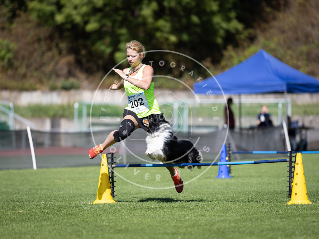 Pfotenfotografie_DV3A5037 | Hundefotografie, Tierfotograf, Pfotenfotografie, Fotoshooting Hund, Hunde Portrait, Hundesport, Hundeportraits, Heideshooting, Hunde, Sportfotograf, Hundefotograf, Turnierhundsport, THS,  - Realisiert mit Pictrs.com