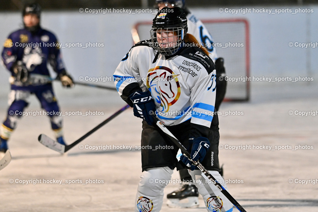 Wildcats Paternion vs. Unicorns Steindorf | #33 Koban Anna UNICORNS STEINDORF, Wildcats Paternion vs. Unicorns Steindorf, Wildcats Paternion vs. Unicorns Steindorf am 02.01.2026 in Paternion (Eislaufplatz Paternion), Austria, (Photo by Bernd Stefan)