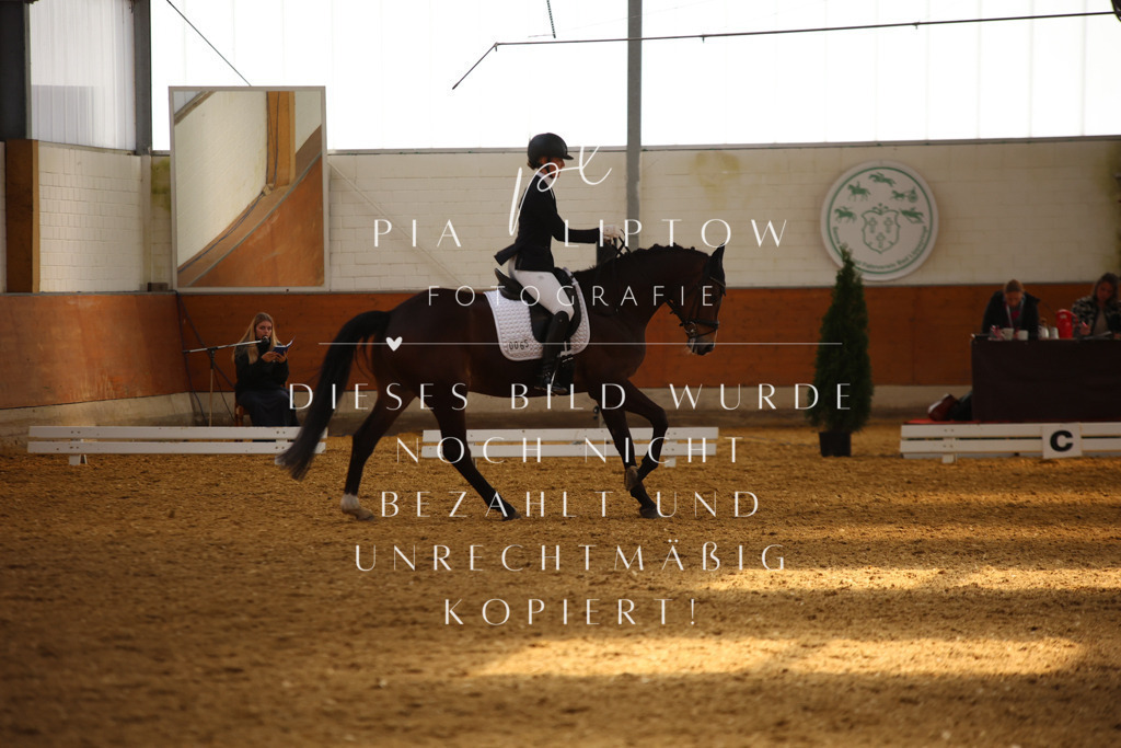 IMGT4419 | pl-fotografie