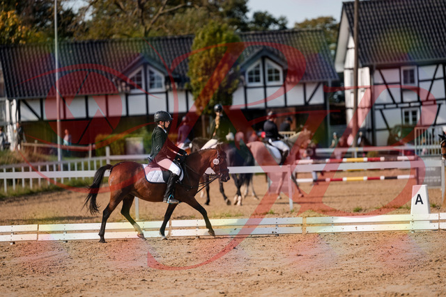 2026_10_03_Siefer-Hof_122040_Z63_43576613 | Professionelle Reitsport-, Turnier- und Eventfotografie von Robert Broda. Galerien mit ausgewählten und bearbeiteten Bildern direkt online ansehen und bestellen.