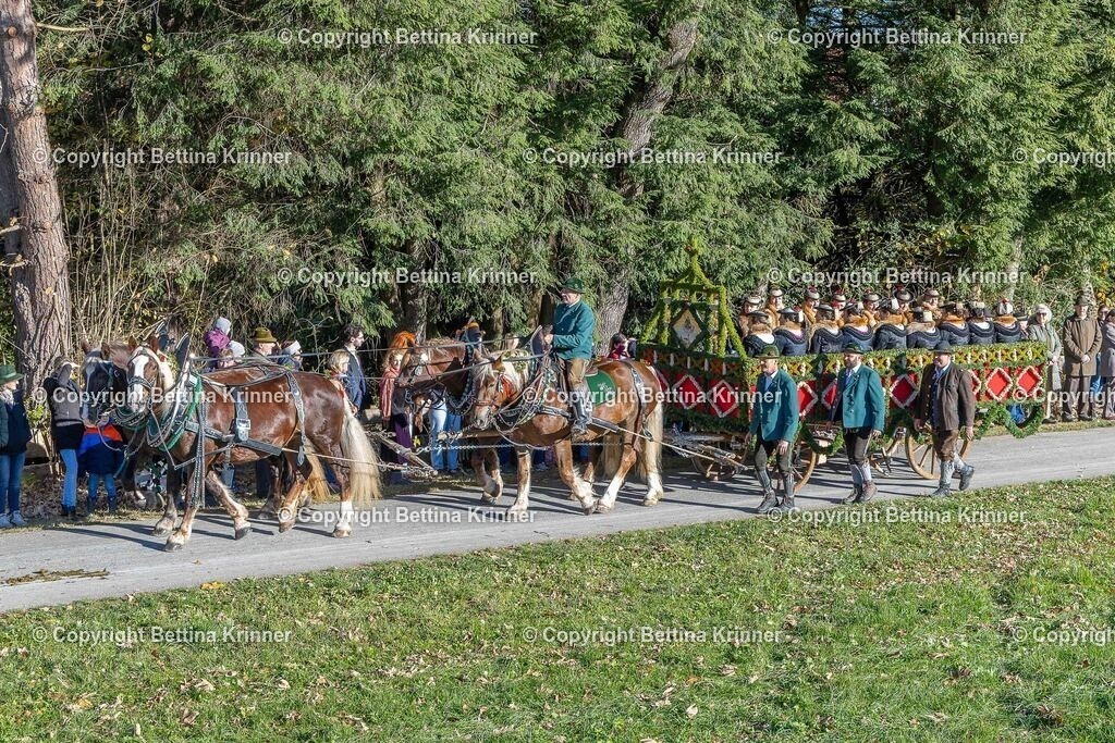 LBT25-213 | foto-bettina-krinner - Realisiert mit Pictrs.com