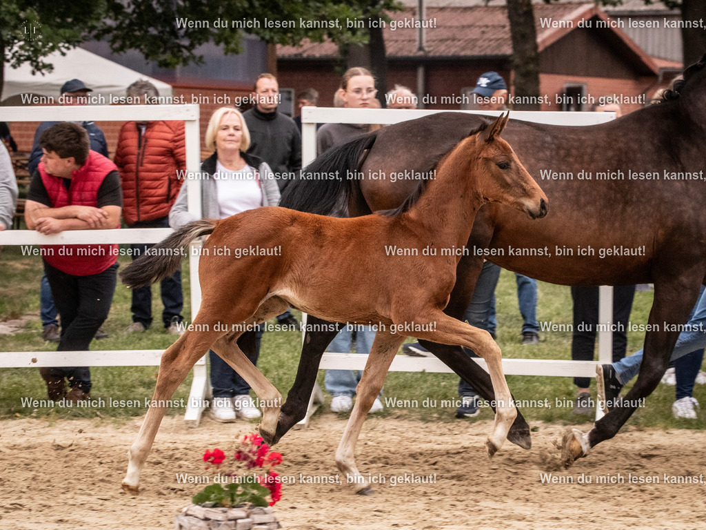 A10I6487 | photographylinaismer - Realisiert mit Pictrs.com