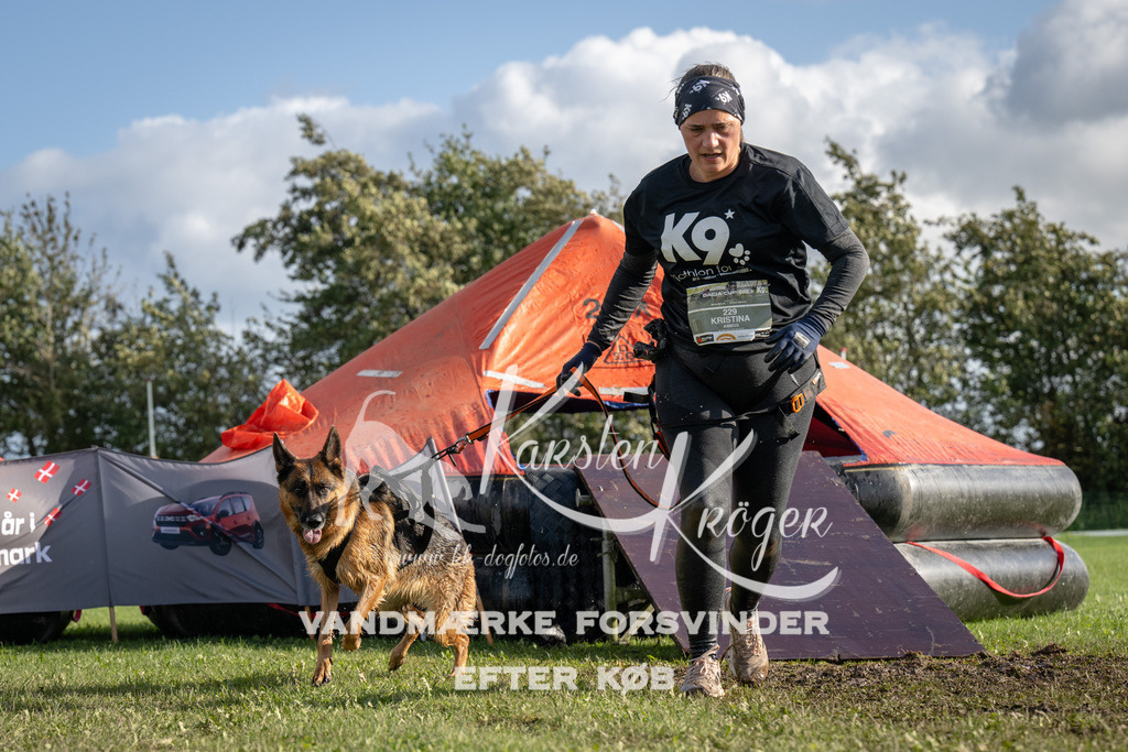 1429-94231 | kk-dogfotos