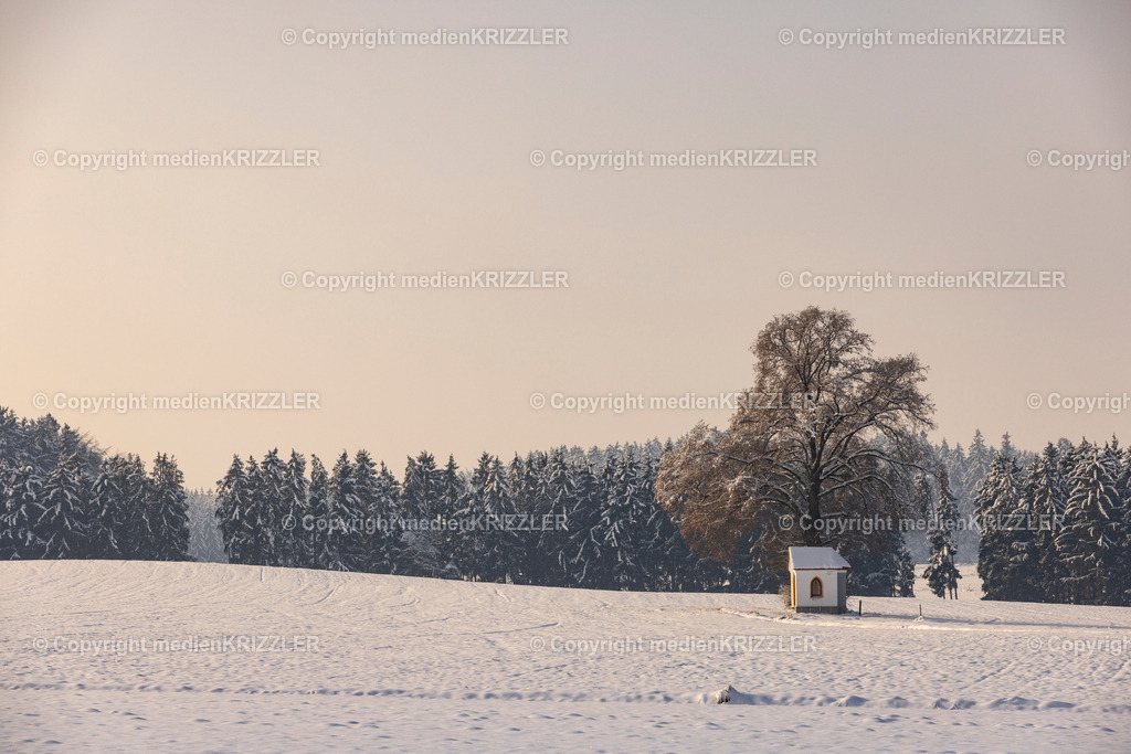 _J3A9606 | medienkrizzler - Realisiert mit Pictrs.com