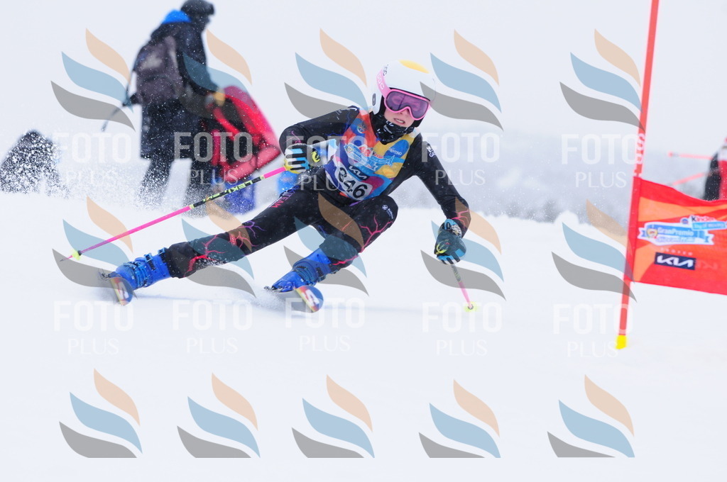 C3713 | holidayphoto