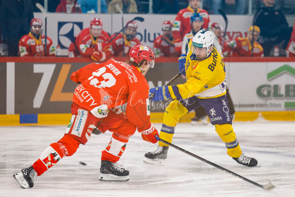 EHCB vs HCD 20260106_wb-0552 | Sportbilder, Sportfotograf, Hochzeits- und Eventfotografin, Flugshows, Portraits und Tiershooting, Aviation, Downhill, Nationalleague, Swissleague, International