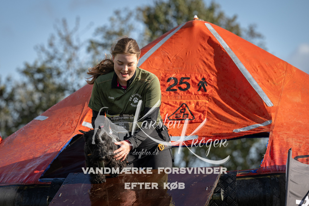 1435-94541 | kk-dogfotos