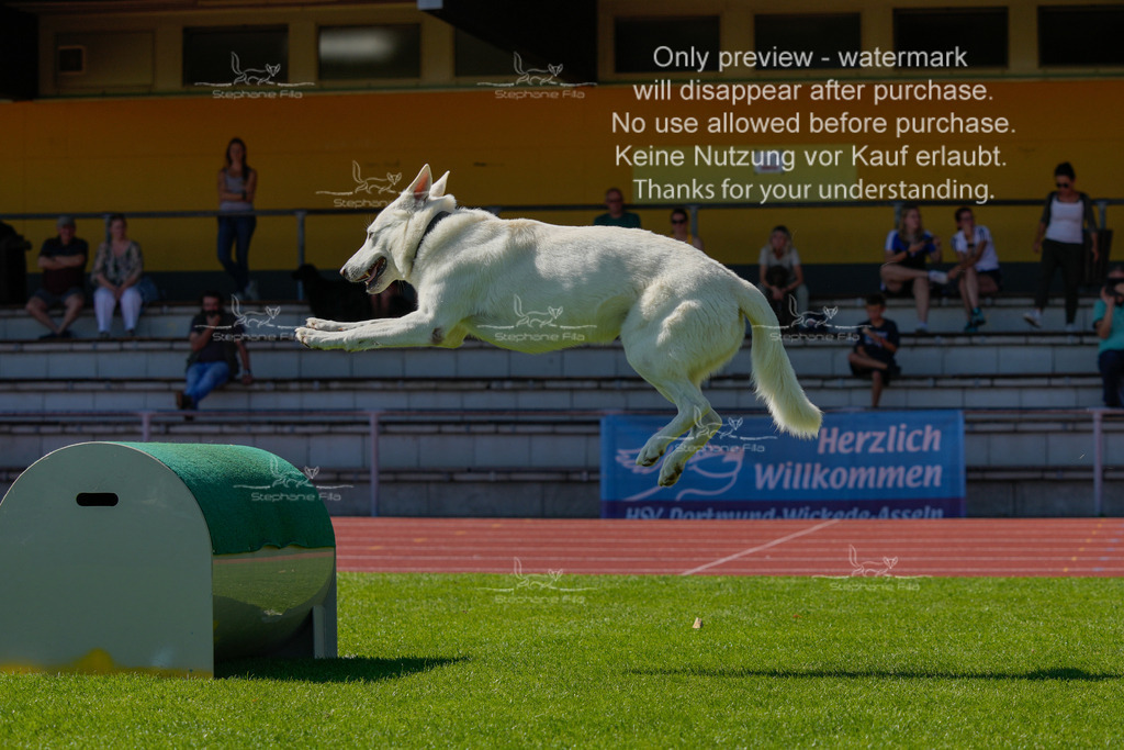 Sonntag_VK Hindernis (309 von 671) | stephaniefillaphotographie - Realisiert mit Pictrs.com