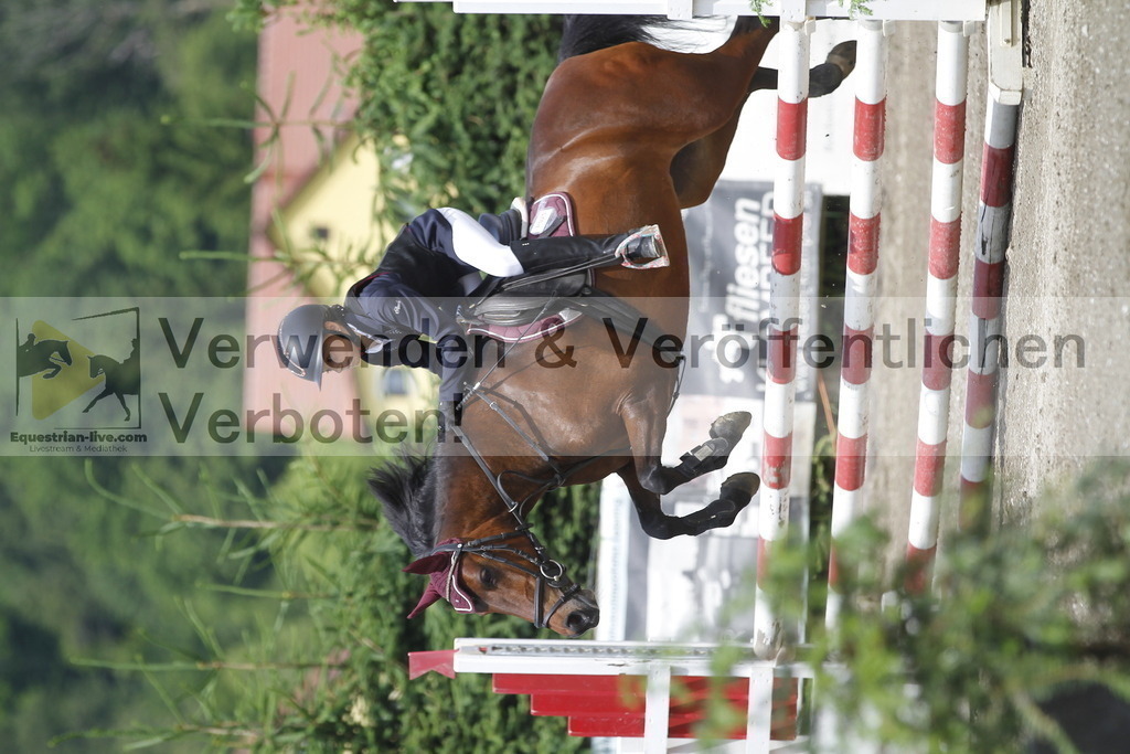 _MG_5046 | equestrian-live-com