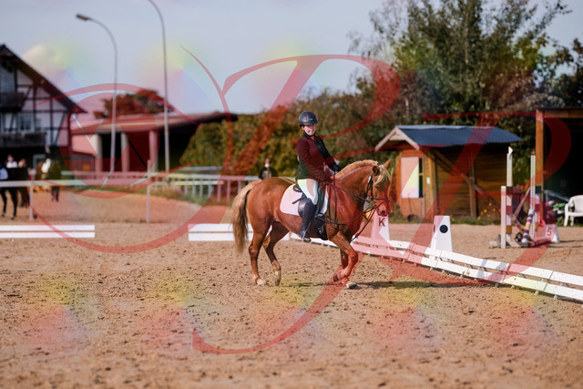 2026_10_03_Siefer-Hof_122036_Z81_20794220 | Professionelle Reitsport-, Turnier- und Eventfotografie von Robert Broda. Galerien mit ausgewählten und bearbeiteten Bildern direkt online ansehen und bestellen.