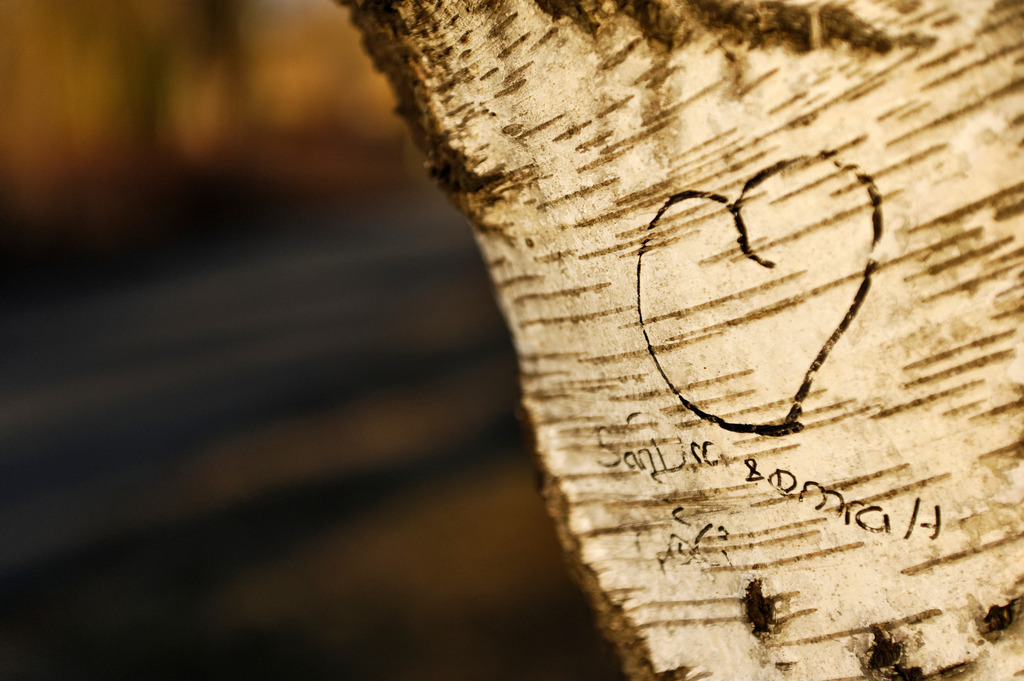 Liebesbeweis | Wien, Austria - February 09, 2011: Liebesbeweis. - Realisiert mit Pictrs.com