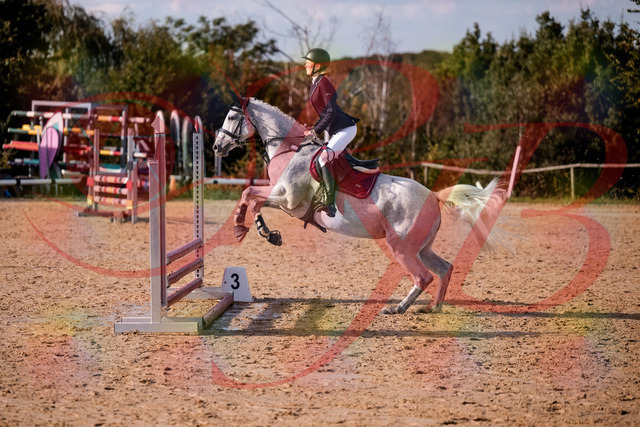 2026_10_03_Siefer-Hof_155127_Z81_70291095 | Professionelle Reitsport-, Turnier- und Eventfotografie von Robert Broda. Galerien mit ausgewählten und bearbeiteten Bildern direkt online ansehen und bestellen.
