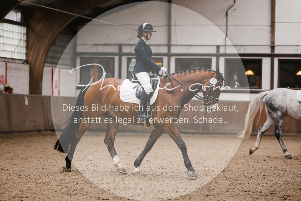3I6A7325 | Stimmungsvolle Portraits und Reitsportfotografie im Ruhrgebiet und im Münsterland.

Pferdefotografie, Hundefotografie, Tierfotografie, Reportagen, Portraits von Tier und Mensch, Turnierfotografie in Bochum, Recklinghausen, Marl, Haltern am See, Dülmen.. - Realisiert mit Pictrs.com