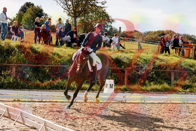 2026_10_03_Siefer-Hof_125627_Z63_63828582 | Professionelle Reitsport-, Turnier- und Eventfotografie von Robert Broda. Galerien mit ausgewählten und bearbeiteten Bildern direkt online ansehen und bestellen.
