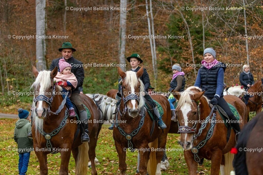 LL25-160 | foto-bettina-krinner - Realisiert mit Pictrs.com