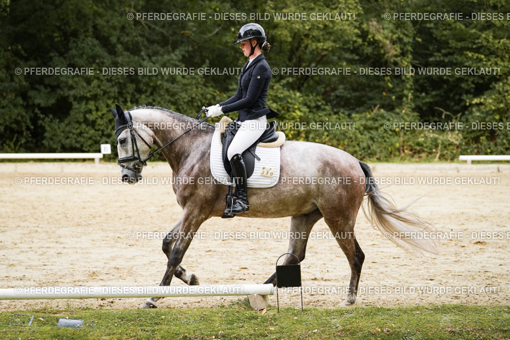 DSC00767 | Pferdegrafie