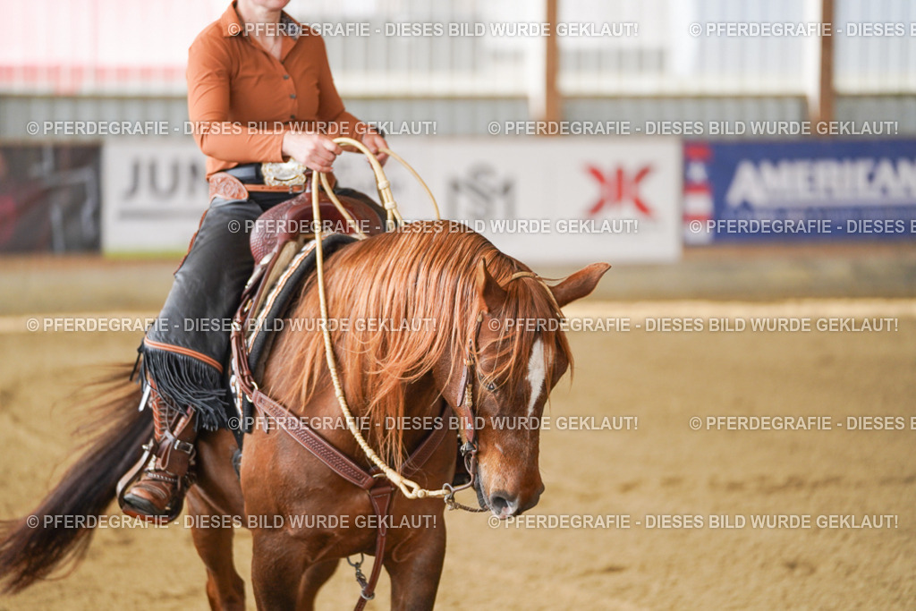 DSC02876 | Pferdegrafie