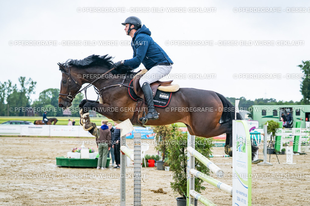 DSC03676 | Pferdegrafie