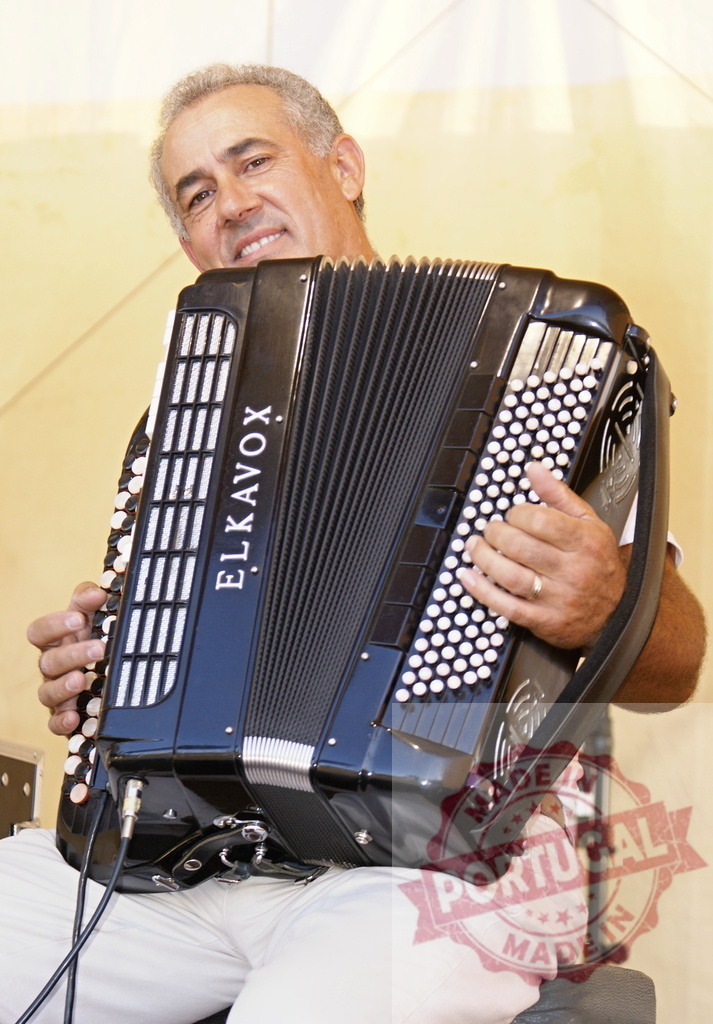Musician playing ElkaVox accordion during a concert | Smiling musician playing a black ElkaVox accordion during a live concert - Realisiert mit Pictrs.com