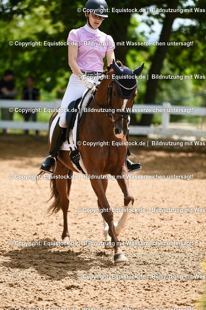 20230716_03_Dressurprfg. Kl.L - Tr._0230 | equistock