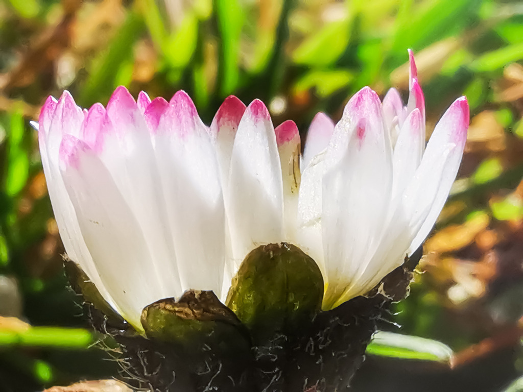 PSX_20230225_232857 | mtkfoto_ - Realisiert mit Pictrs.com