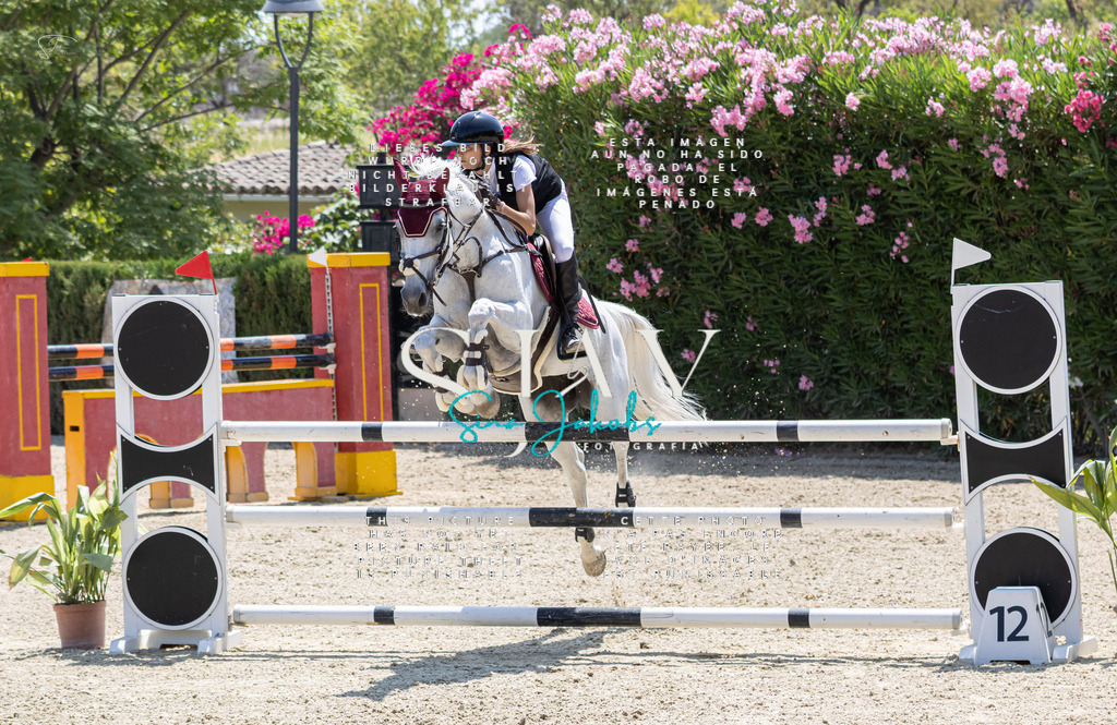 IMG_7957 | s-jay-photography - Realisiert mit Pictrs.com