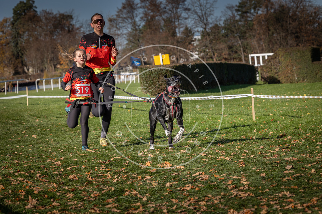 CaniXpix_0L8A7056 | Hundefotografie, Tierfotograf, Pfotenfotografie, Fotoshooting Hund, Hunde Portrait, Hundesport, Hundeportraits, Heideshooting, Hunde, Sportfotograf, Hundefotograf, Turnierhundsport, THS,  - Realisiert mit Pictrs.com