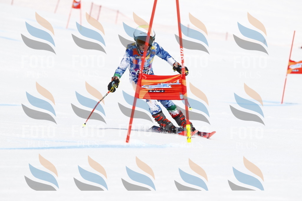 _U3G5857 | holidayphoto