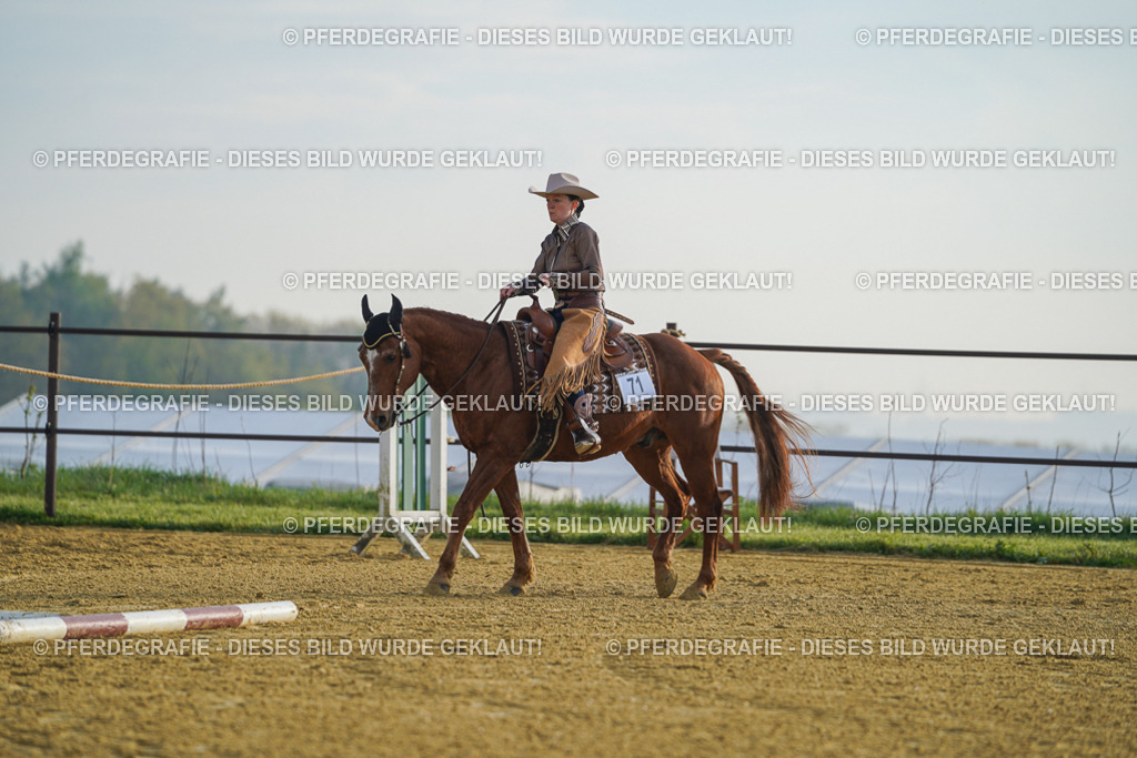 DSC09800 | Pferdegrafie