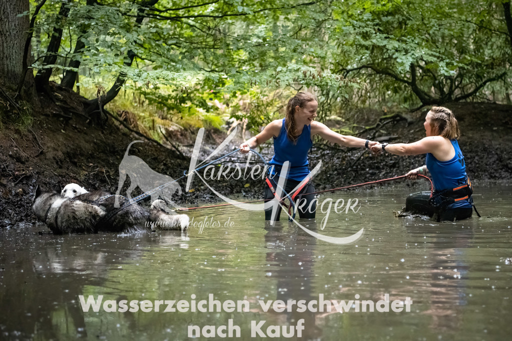 1237_ZZ91091-Bearbeitet | kk-dogfotos