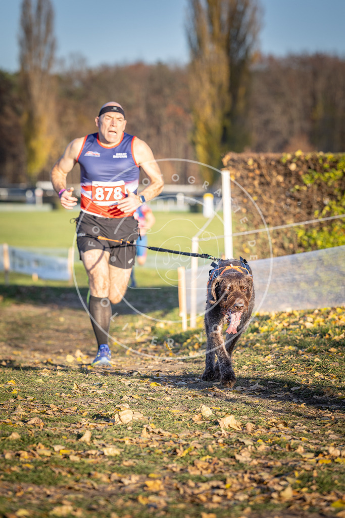 CaniXpix_DV3A4300 | Hundefotografie, Tierfotograf, Pfotenfotografie, Fotoshooting Hund, Hunde Portrait, Hundesport, Hundeportraits, Heideshooting, Hunde, Sportfotograf, Hundefotograf, Turnierhundsport, THS,  - Realisiert mit Pictrs.com