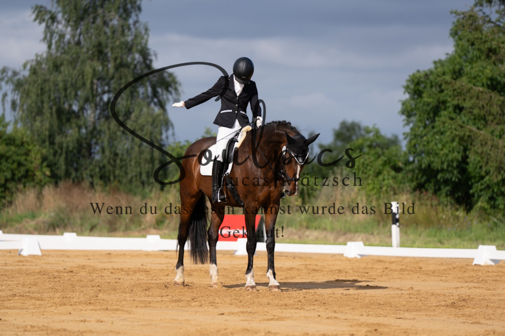 A7V05187 | Pferdefotograf