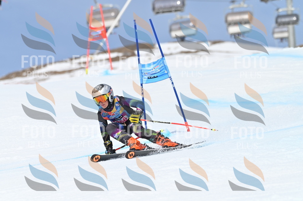 BGV_2201 | holidayphoto