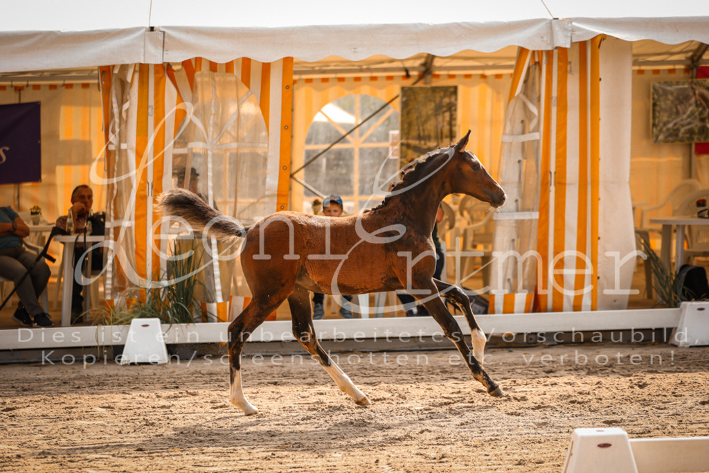 10.DoRP00102 | Leoni Ertmer Photography - Realisiert mit Pictrs.com