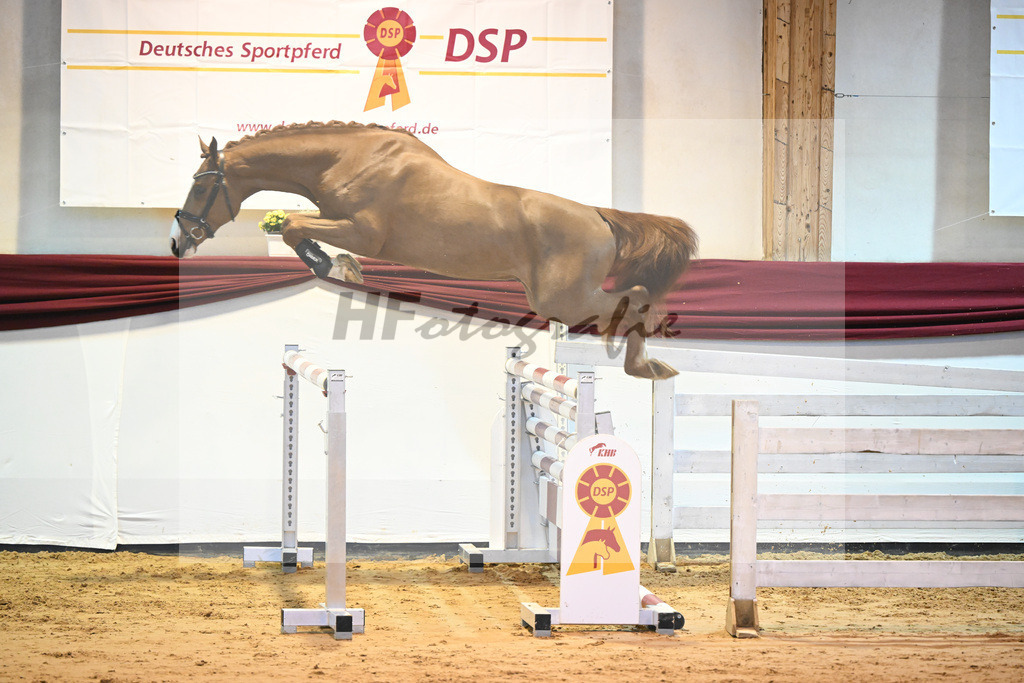 Kat-Nr. 41 v. Manchester vant Paradijs_Schulze-Averdiek_66221165 | hf-fotografie - Realisiert mit Pictrs.com