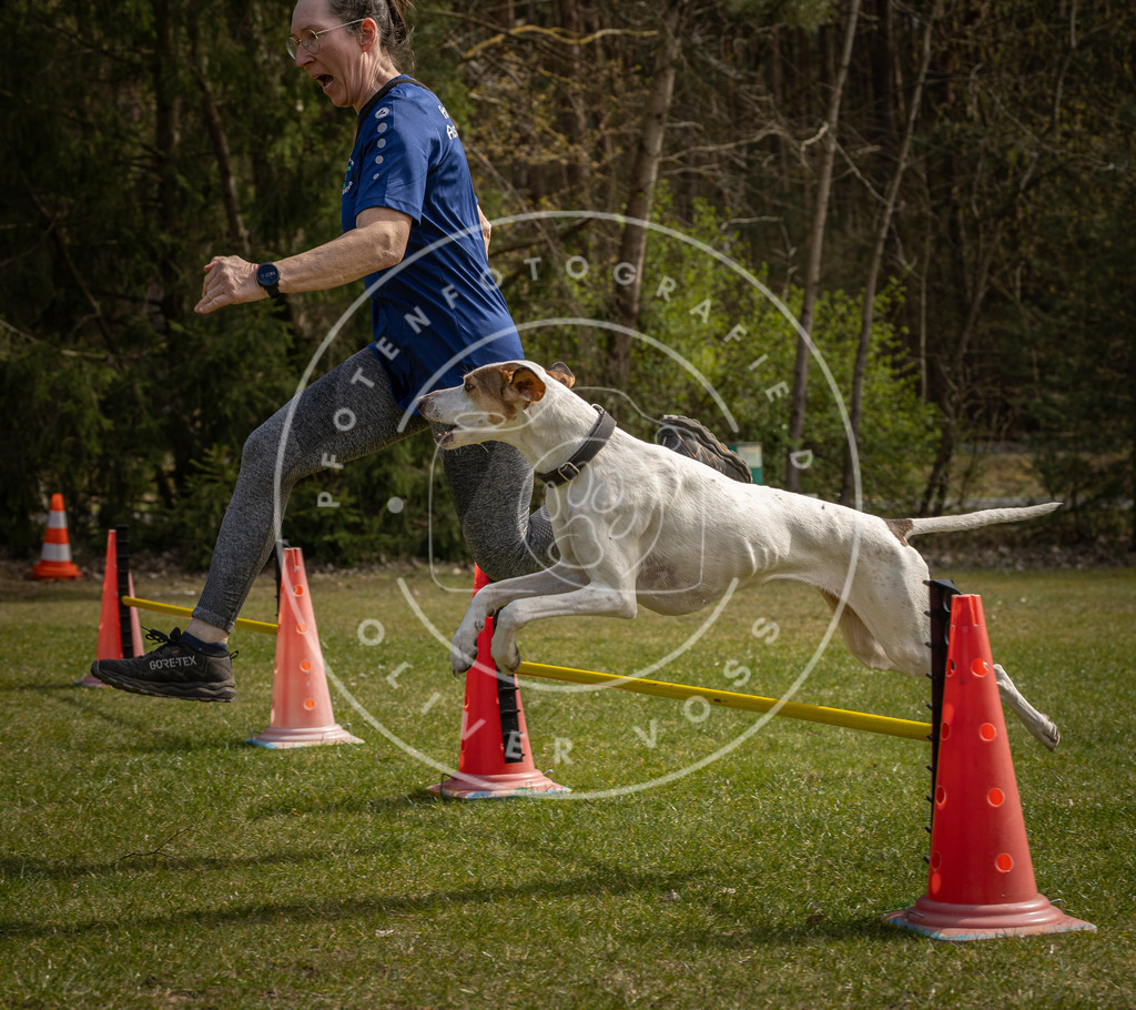Pfotenfotografie_DV3A7006 | Hundefotografie, Tierfotograf, Pfotenfotografie, Fotoshooting Hund, Hunde Portrait, Hundesport, Hundeportraits, Heideshooting, Hunde, Sportfotograf, Hundefotograf, Turnierhundsport, THS,  - Realisiert mit Pictrs.com