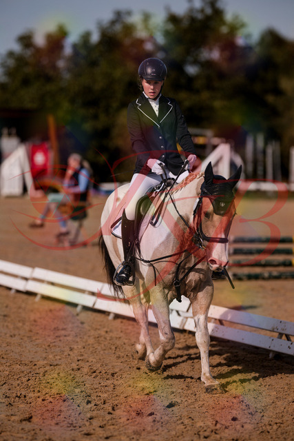 2026_10_03_Siefer-Hof_115141_Z81_92531395 | Professionelle Reitsport-, Turnier- und Eventfotografie von Robert Broda. Galerien mit ausgewählten und bearbeiteten Bildern direkt online ansehen und bestellen.